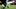 Arizona Cardinals RB Jeremiyah Lov Arizona Cardinals RB Jeremiyah Lov