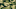Abstract image of green camouflage