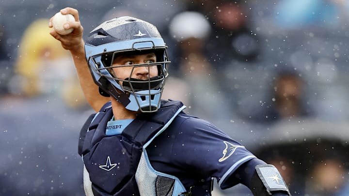 Tampa Bay Rays v New York Yankees