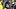 Pittsburgh Steelers cornerback Brandin Echols (26) Pittsburgh Steelers cornerback Brandin Echols (26)