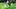 Desert Edge Scorpions Dayvon Standard breaks a tackle during a football game. Desert Edge Scorpions Dayvon Standard breaks a tackle during a football game.
