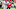 Sep 30, 2023; Lubbock, Texas, USA; Houston Cougars offensive tackle Patrick Paul (76) blocks Texas Sep 30, 2023; Lubbock, Texas, USA; Houston Cougars offensive tackle Patrick Paul (76) blocks Texas