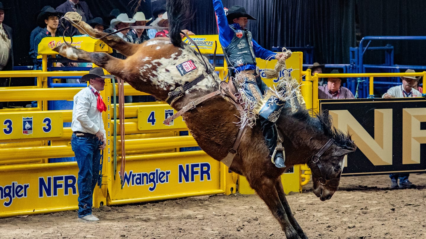 Dakota Rodeo Mourns Loss of NFR Bucking Horse Cash Deal