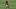 Aaron Rodgers, QB, Pittsburgh Steelers Aaron Rodgers, QB, Pittsburgh Steelers
