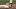 Carson Boleman generic image