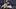 San Diego Padres right fielder Fernando Tatis Jr. San Diego Padres right fielder Fernando Tatis Jr.