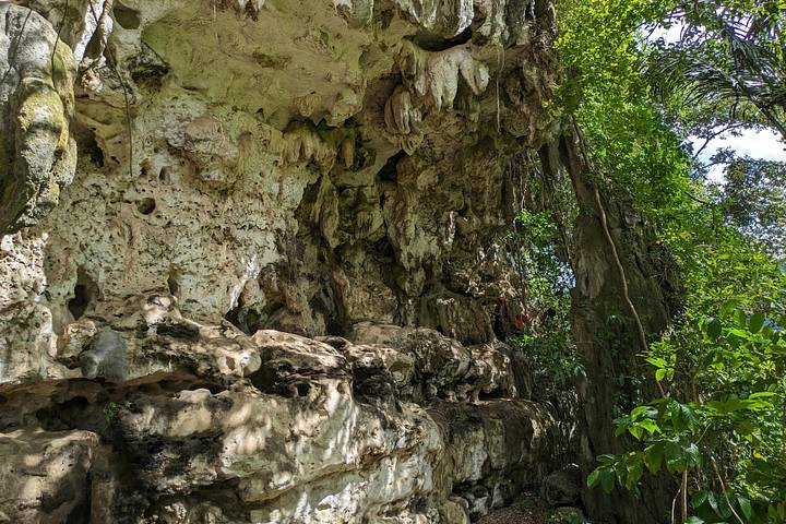 A 51,200-Year-Old Cave Painting Might Be the World's Oldest
