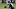 Dontay Demus, Baltimore Ravens Dontay Demus, Baltimore Ravens