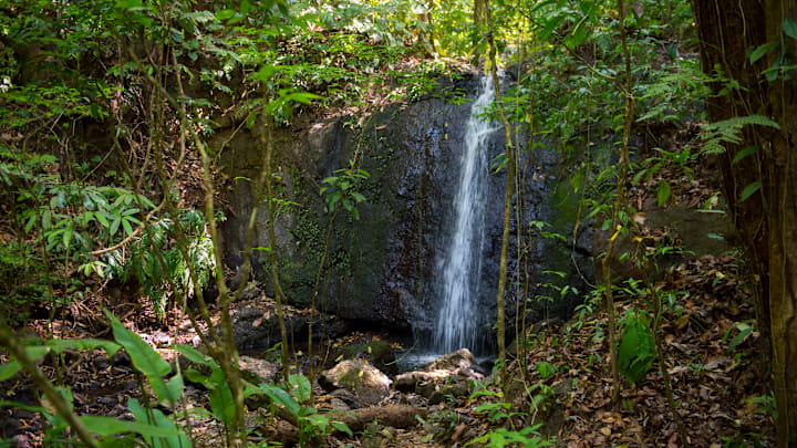 View of a waterfall in the rainforest near the Campanario...