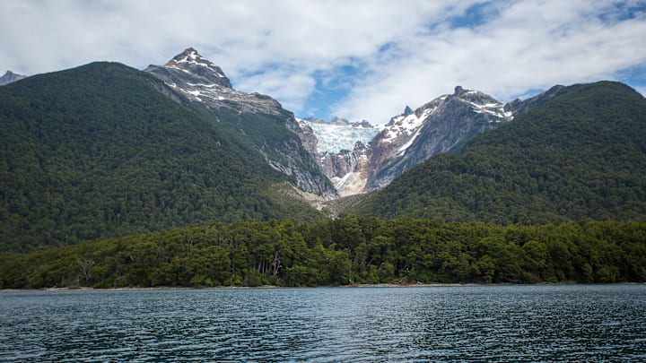 Larches and other tree species share the ecoregion of the...