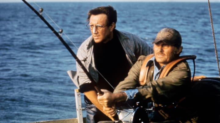 On the set of Jaws