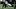 New Orleans Saints running back Travis Etienne Jr., Fantasy Football New Orleans Saints running back Travis Etienne Jr., Fantasy Football