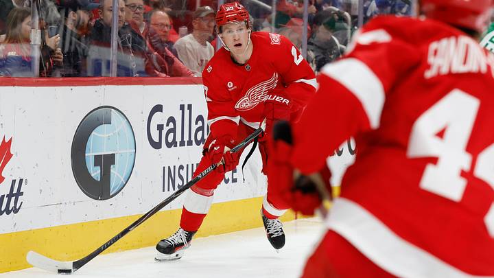 Dec 23, 2025; Detroit, Michigan, USA;  Detroit Red Wings center Nate Danielson (29) skates with the puck in the third period against the Dallas Stars at Little Caesars Arena. Mandatory Credit: Rick Osentoski-Imagn Images