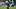 New York Giants wide receiver Malachi Fields 