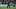 Ferencvaros v Real Madrid: Pre-Season Friendly Ferencvaros v Real Madrid: Pre-Season Friendly