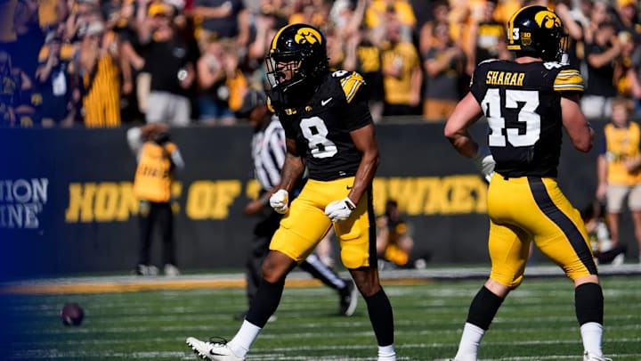 Iowa Hawkeyes defensive back Deshaun Lee