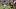 Seattle Seahawks running back Emanuel Wilson Seattle Seahawks running back Emanuel Wilson