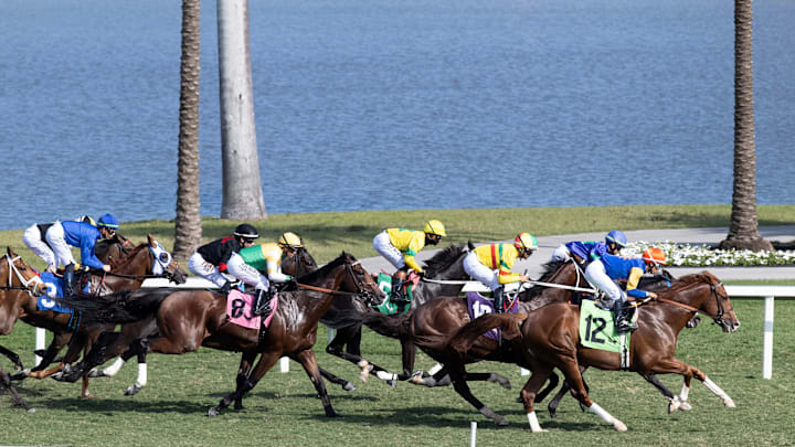 Horse Racing at Gulfstream Racetrack
