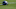 A Carolina Panthers helmet sits on the ground at training cam