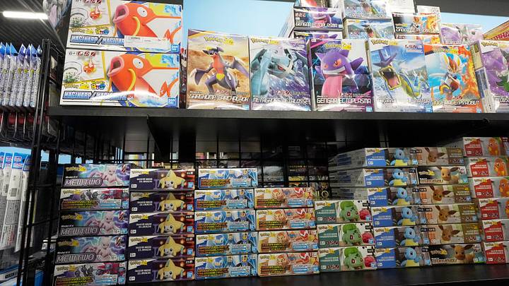 Hammergirl Anime, located in the Goodwill Jefferson Plaza on Jefferson Road in Henrietta also carries model kits for building Pokémon characters.