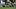 LSU Tigers linebacker Whit Weeks tackles Mississippi Rebels running back Kewan Lacy. LSU Tigers linebacker Whit Weeks tackles Mississippi Rebels running back Kewan Lacy.
