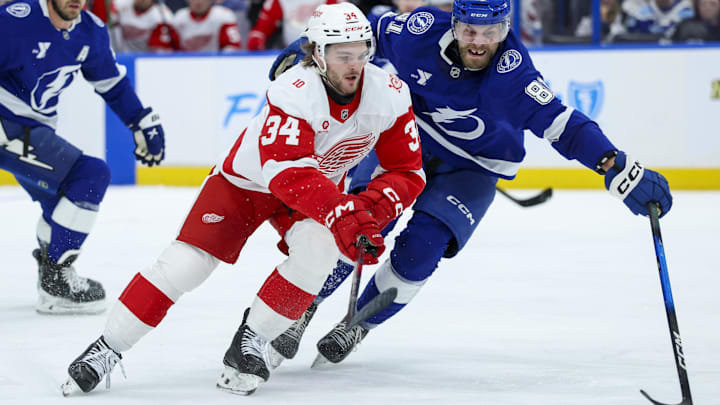 Apr 13, 2026; Tampa, Florida, USA; Detroit Red Wings left wing Carter Mazur (34) and Tampa Bay Lightning defenseman Erik Cernak (81) battle for the puck in the second period at Benchmark International Arena. Mandatory Credit: Nathan Ray Seebeck-Imagn Images