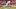 St. Louis Cardinals third baseman Nolan Gorman St. Louis Cardinals third baseman Nolan Gorman