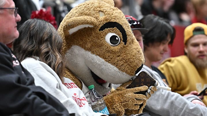 Jan 25, 2025; Pullman, Washington, USA; Washington State Cougars mascot Butch plays with a cell phone during a game against the St. Mary's Gaels in the second half at Friel Court at Beasley Coliseum. St. Mary's Gaels won 80-75. Mandatory Credit: James Snook-Imagn Images