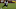 Baltimore Ravens, Zay Flowers Baltimore Ravens, Zay Flowers