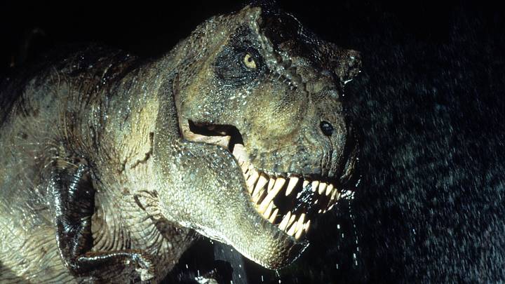 A T-Rex in a scene from the film 'Jurassic Park', 1993.