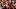 Dillon Gabriel, Shedeur Sanders Dillon Gabriel, Shedeur Sanders