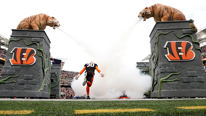 Baltimore Ravens v Cincinnati Bengals