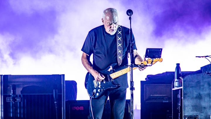 David Gilmour