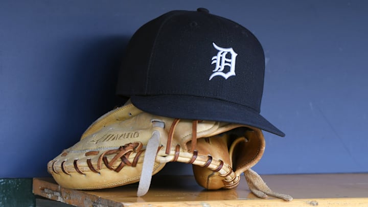 Tampa Bay Rays v Detroit Tigers