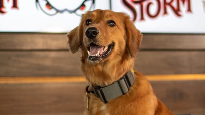 Omaha, courtesy of the Lake Elsinore Storm on X