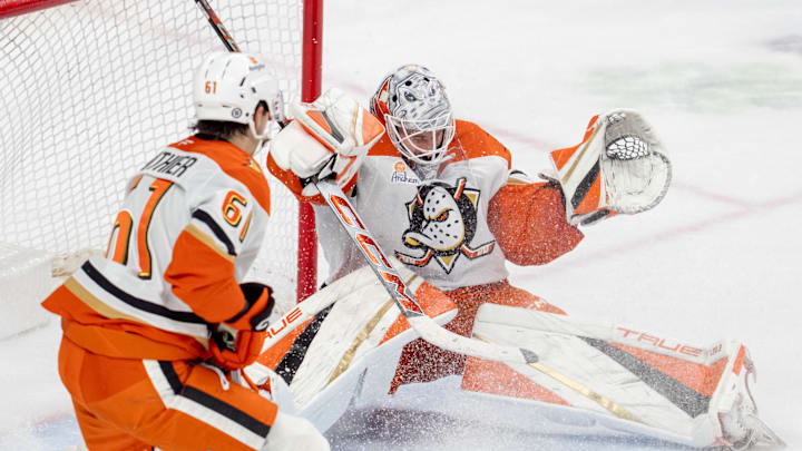 Apr 15, 2025; Saint Paul, Minnesota, USA; A shot by Minnesota Wild left wing Matt Boldy (12) goes over the shoulder of Anaheim Ducks goaltender Lukas Dostal (1) clinching a playoff birth for the Minnesota Wild in overtime at Xcel Energy Center. Mandatory Credit: Matt Blewett-Imagn Images