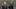 DARYLDIXON_304_CO_1115_0090-RT