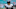 Jacksonville Jaguars, NFL, Miami Dolphins, preseason, LeQuint Allen Jr.