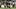 Steelers QB Aaron Rodgers (Black Jersey, Number 8) is pressured by Colts DE Laiatu Latu (White Jersey, Number 97) 