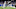 Detroit Lions, Josh Reynolds