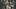 Richard of Shrewsbury, Anne de Mowbray, 8th Countess of Norfolk Richard of Shrewsbury, Anne de Mowbray, 8th Countess of Norfolk