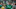 Roberto Firmino - Soccer Player