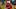 Virginia Cavaliers quarterback Beau Pribula Virginia Cavaliers quarterback Beau Pribula
