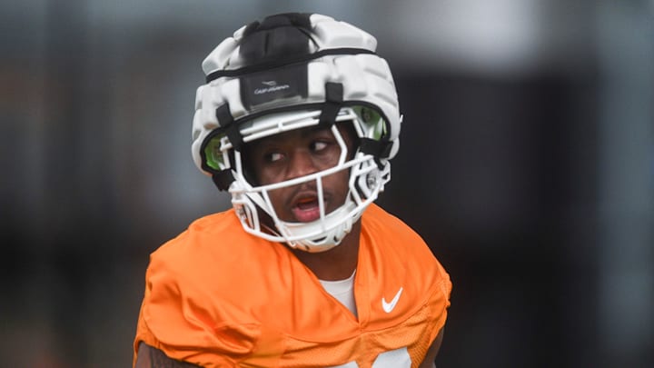 Cornerback Jordan Ross (29) was one of the top-ranked transfer portal additions for this SEC program.