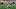 Pittsburgh Panthers footbal Pittsburgh Panthers footbal