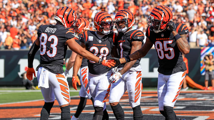 Atlanta Falcons v Cincinnati Bengals