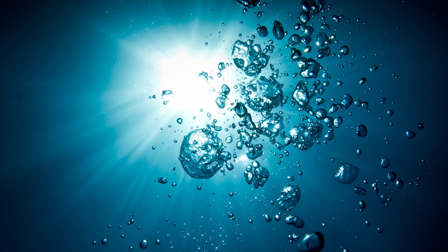Human Noise Harms the Ocean’s Biggest Creatures. Tiny Bubbles Could ...
