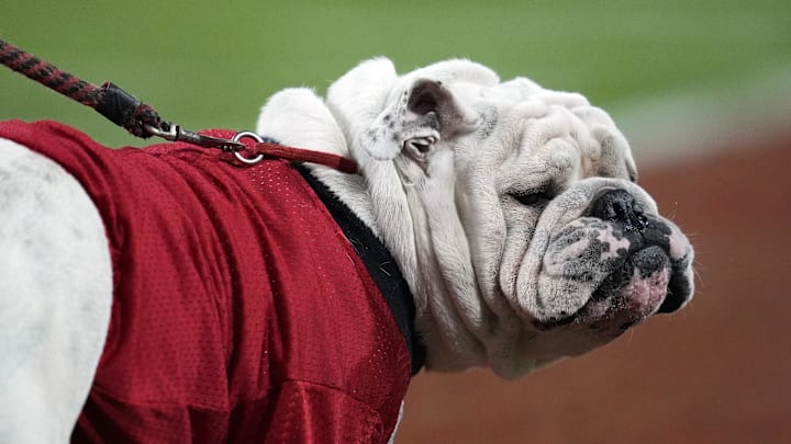 Sep 27, 2025; Athens, Georgia, USA; Georgia Bulldogs mascot Uga looks on in the first half against the Alabama Crimson Tide at Sanford Stadium. Mandatory Credit: Dale Zanine-Imagn Images