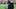 Houston Texans head coach DeMeco Ryans Houston Texans head coach DeMeco Ryans