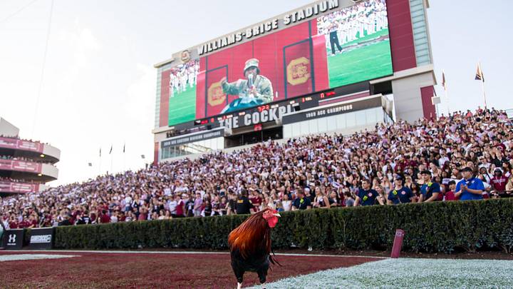 Nov 22, 2025; Columbia, South Carolina, USA; Sir Big Spur VII, the South Carolina Gamecocks live mascot, stands on the field before the game against the Coastal Carolina Chanticleers at Williams-Brice Stadium. Mandatory Credit: Jeff Blake-Imagn Images Nov 22, 2025; Columbia, South Carolina, USA; Sir Big Spur VII, the South Carolina Gamecocks live mascot, stands on the field before the game against the Coastal Carolina Chanticleers at Williams-Brice Stadium. Mandatory Credit: Jeff Blake-Imagn Images
